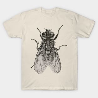 Dotwork Fly Art Print T-Shirt